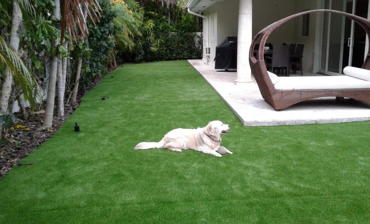 Happy dog relaxing on pet-safe artificial grass with advanced drainage system